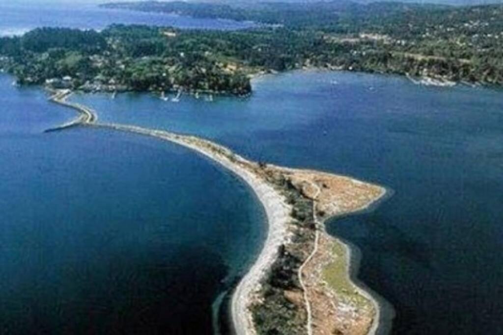 Seagull Studio Vacation Suite Sooke Bagian luar foto