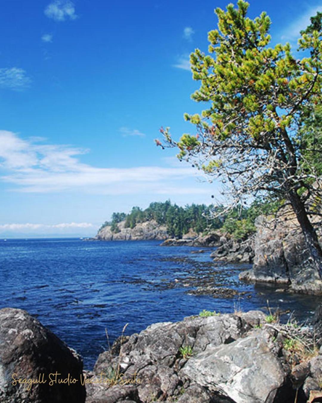 Seagull Studio Vacation Suite Sooke Bagian luar foto