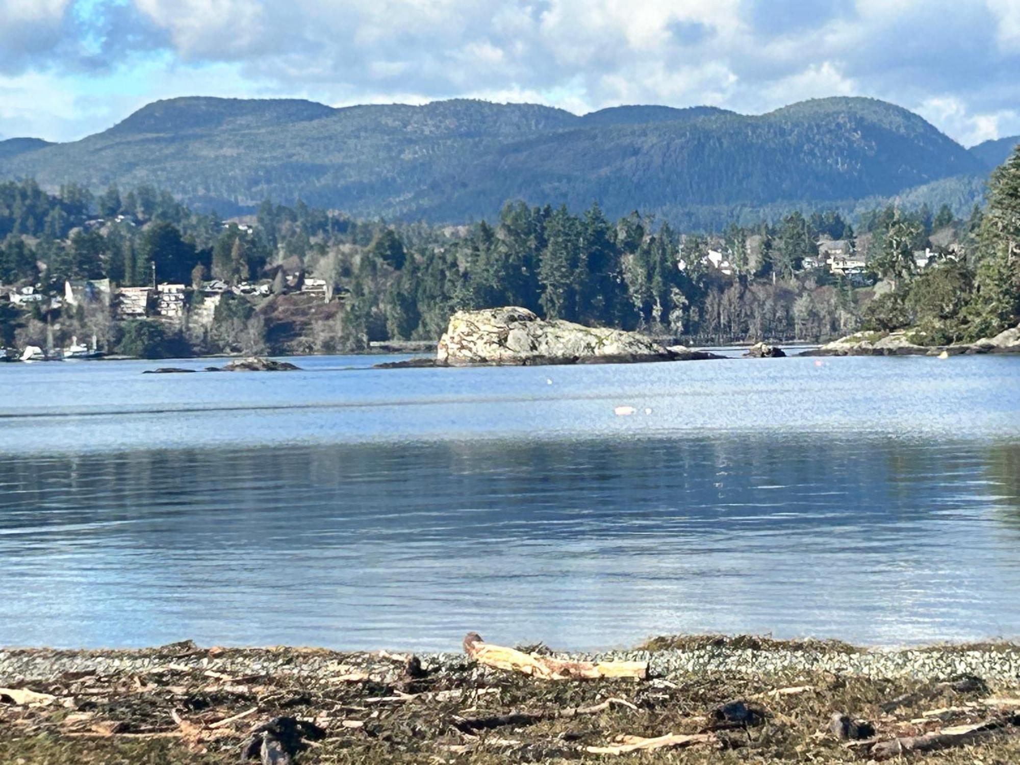 Seagull Studio Vacation Suite Sooke Bagian luar foto