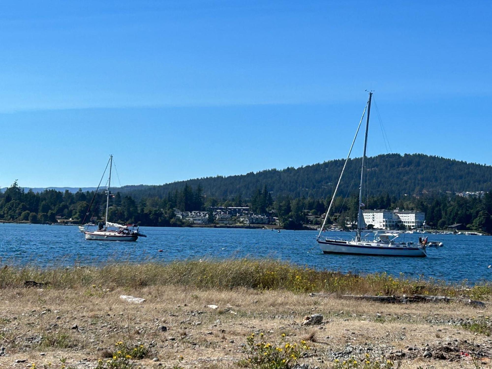 Seagull Studio Vacation Suite Sooke Bagian luar foto